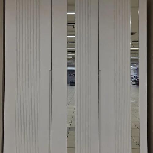 Шкаф «Полоска с зеркалом (серебро)» 